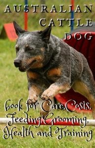 Australian Cattle Dog book for Care, Costs, Feeding, Grooming, Health and Training