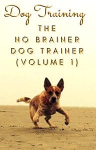 Dog Training with the No BRAINER Dog TRAINER (Volume 1)