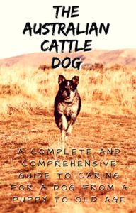 The Australian Cattle Dog: A Complete and Comprehensive Guide to caring for a Dog from a Puppy to Old Age